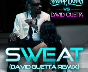 Snoop Dog Feat David Guetta – Sweat Mp3 Song