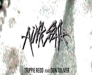 Trippie Redd & Don Toliver ~ Ain’t Safe Mp3 Download
